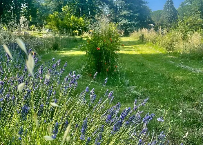 Le Viel Alojamento de Acomodação e Pequeno-almoço 3*