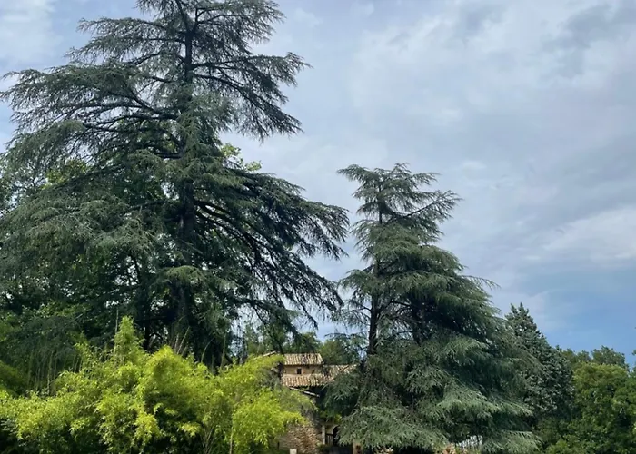 Alojamento de Acomodação e Pequeno-almoço Le Viel